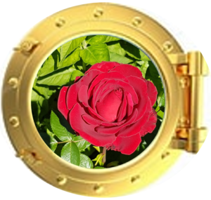 Vitalisieren